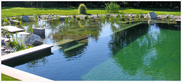 Biopiscine Roma E Castelli Romani